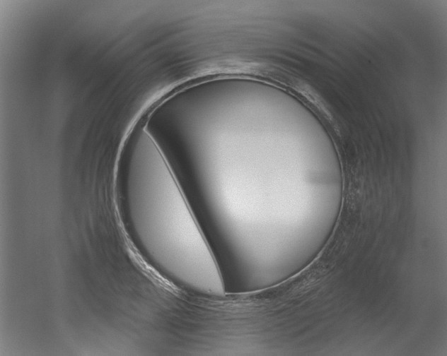X0000052551080200507010839