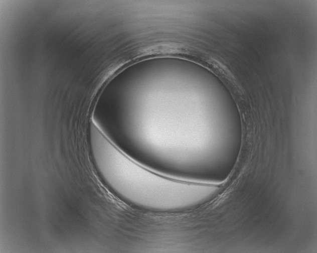 X0000052551081200507010839