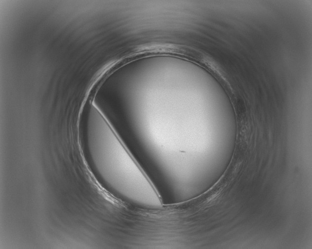 X0000052551082200507010839