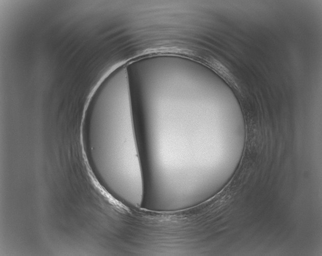 X0000052551084200507010839