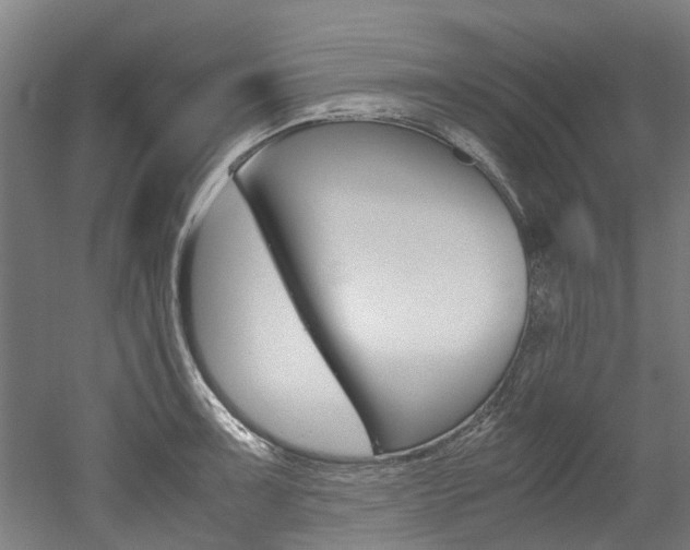 X0000052551091200507010839