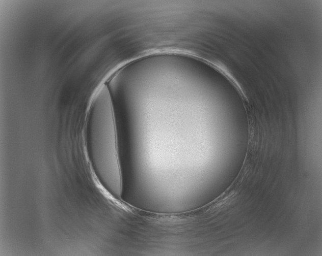 X0000052551100200507010838