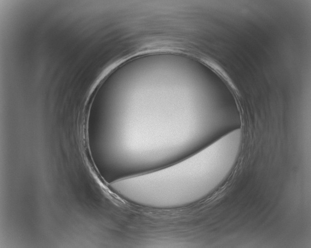 X0000052551101200507010838