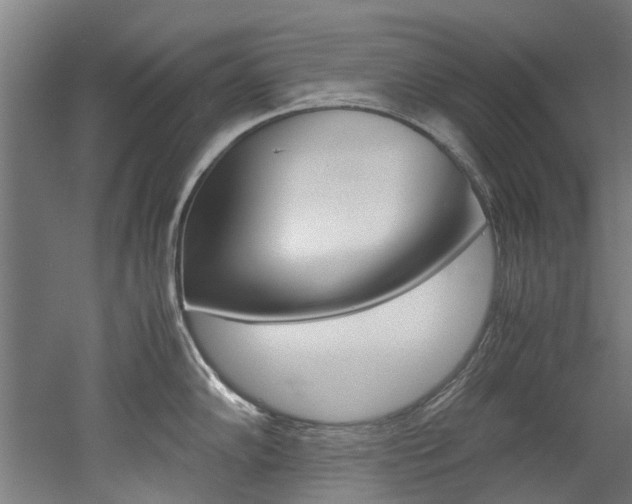 X0000052551102200507010838