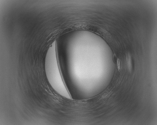 X0000052551107200507010838