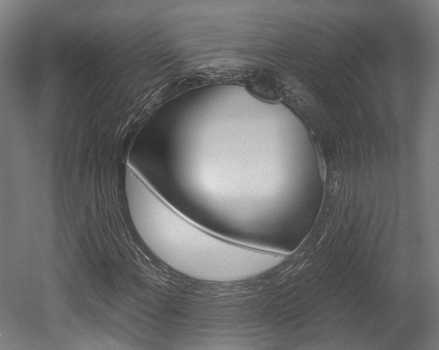 X0000052551108200507010838