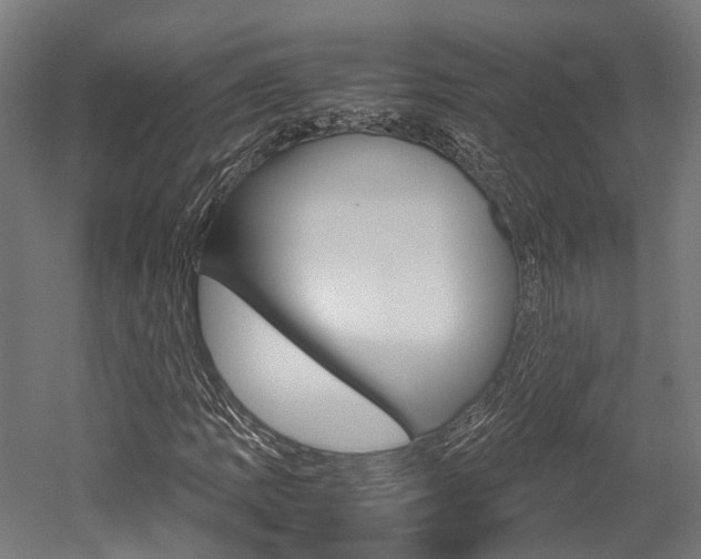 X0000052551109200507010838