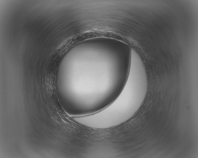 X0000052551110200507010838