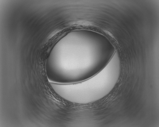 X0000052551112200507010838