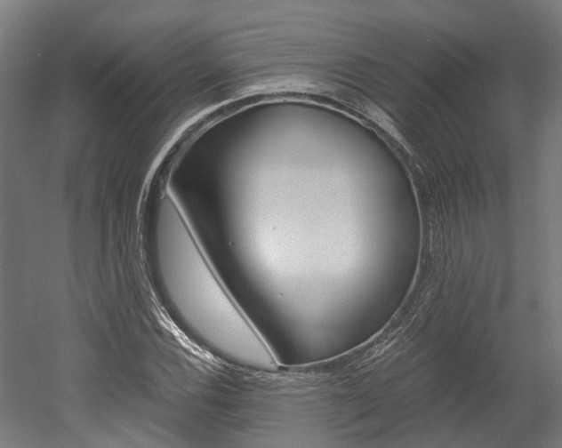 X0000052551116200507010838