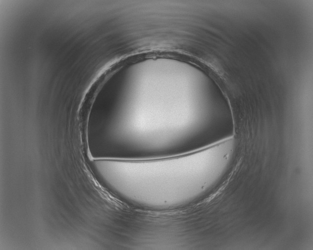 X0000052551118200507010838