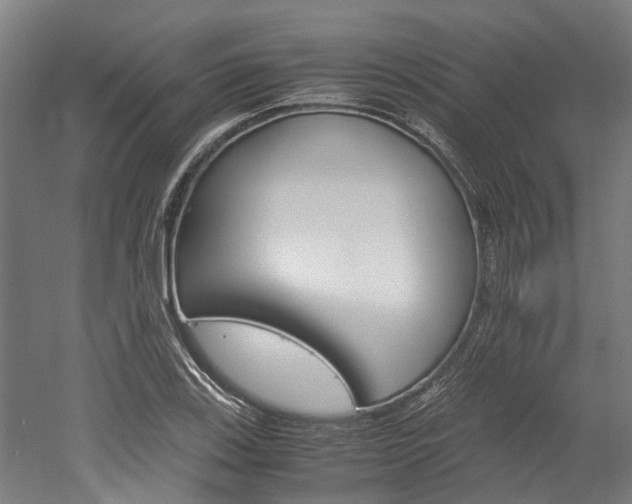 X0000052551123200507010838