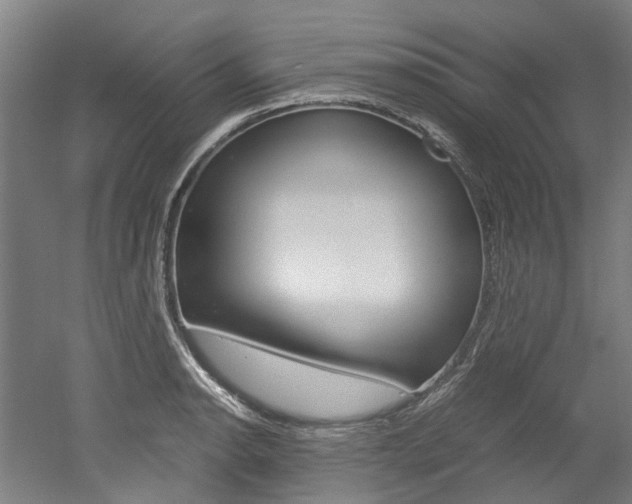 X0000052551134200507010838