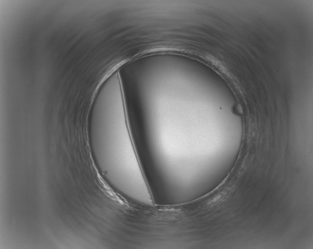 X0000052551137200507010838