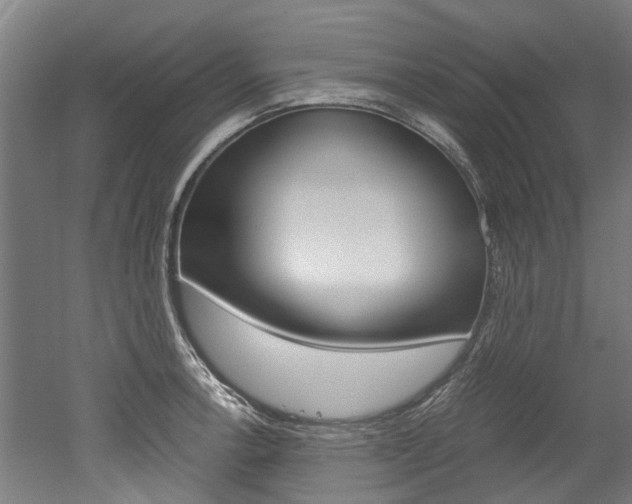 X0000052551138200507010838