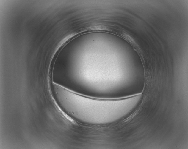 X0000052551141200507010838