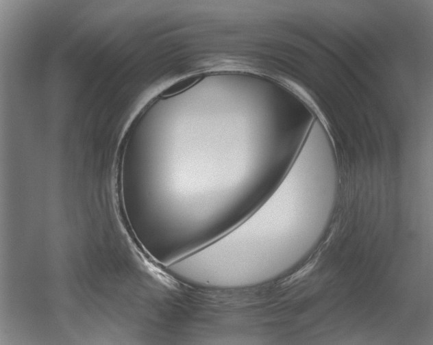 X0000052551149200507010838