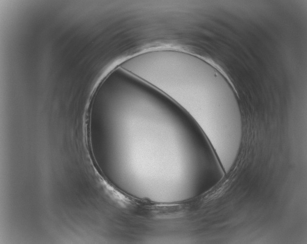 X0000052551151200507010838