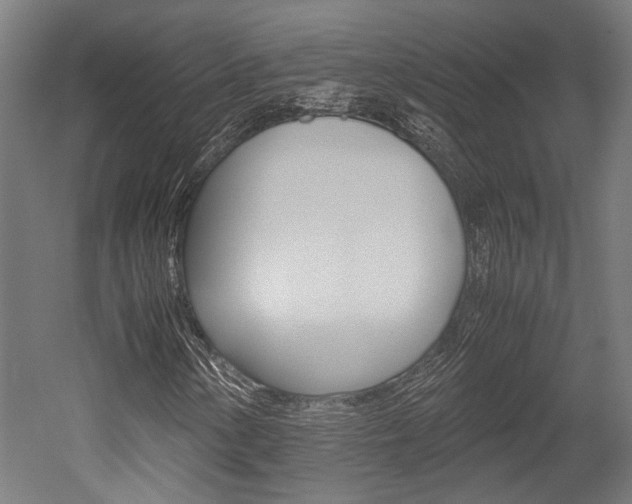 X0000052551154200507010837