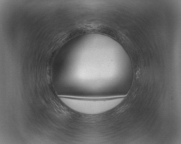 X0000052551156200507010837