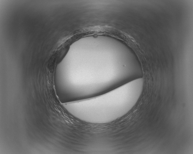 X0000052551158200507010837