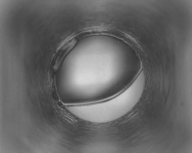 X0000052551160200507010837