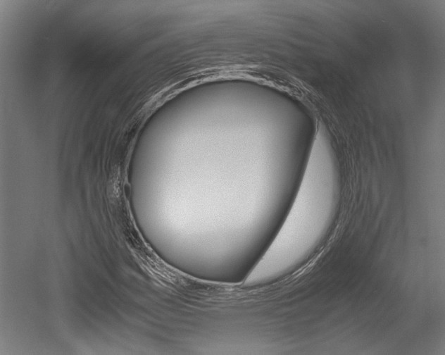 X0000052551161200507010837