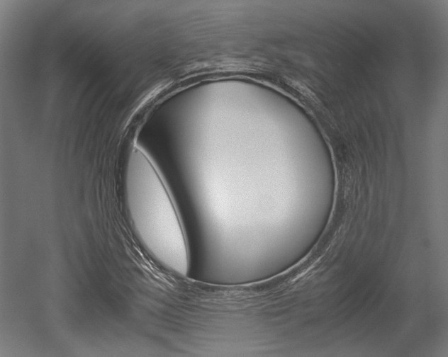 X0000052551163200507010837