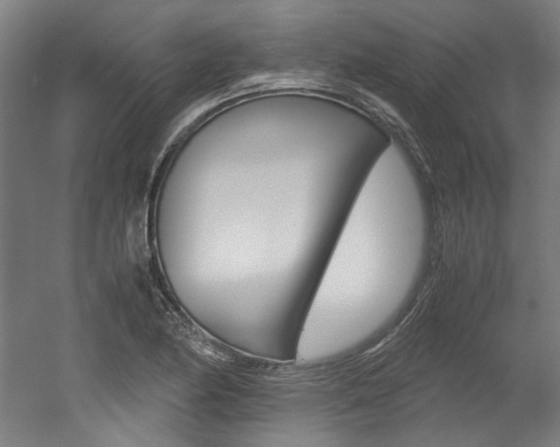 X0000052551174200507010837