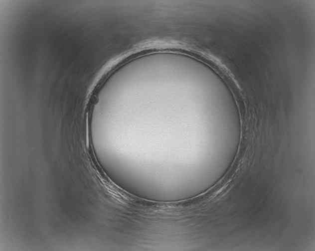 X0000052551175200507010837