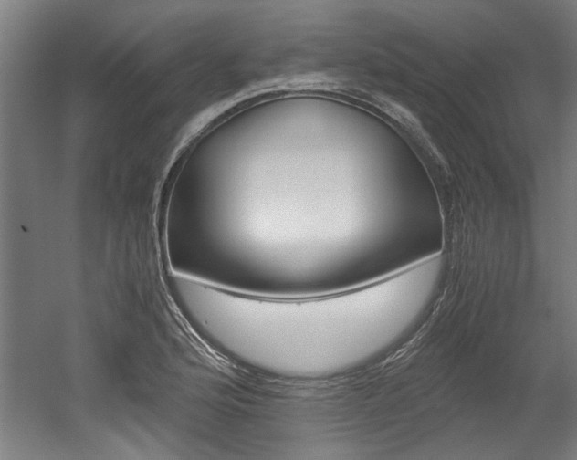 X0000052551176200507010837
