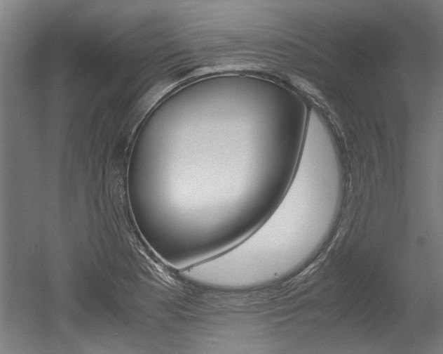 X0000052551177200507010837