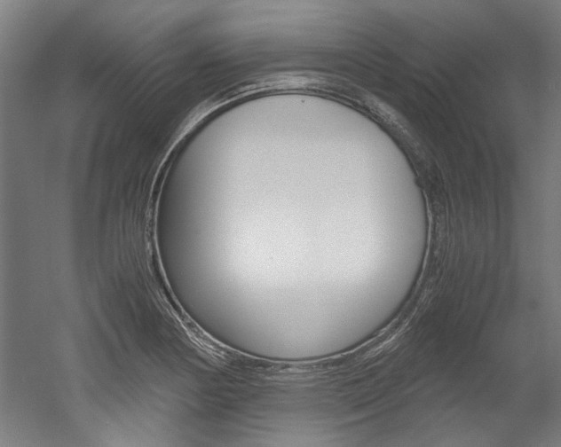 X0000052551178200507010837