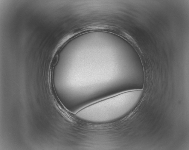 X0000052551179200507010837