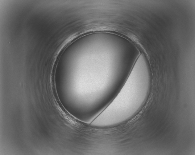 X0000052551181200507010837