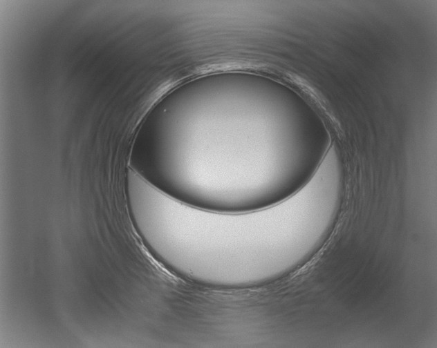 X0000052551185200507010837