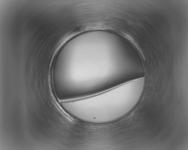 X0000052551187200507010837