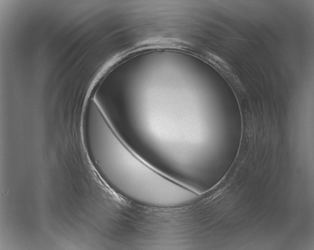 X0000052551188200507010837