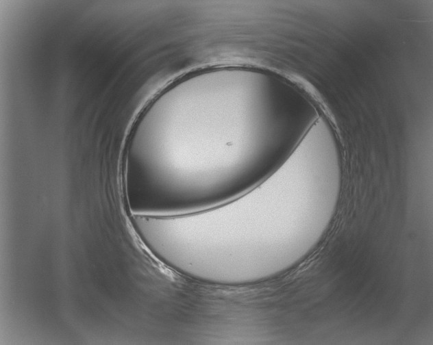 X0000052551191200507010837