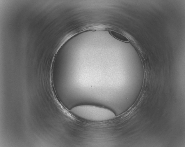 X0000052551194200507010837