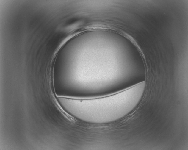 X0000052551195200507010837