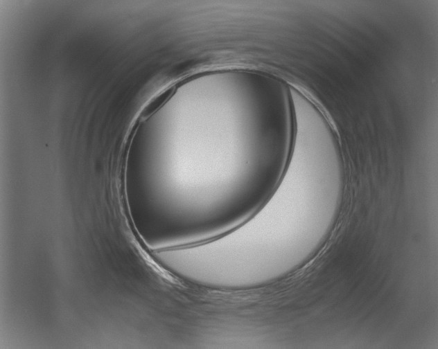X0000052551197200507010837