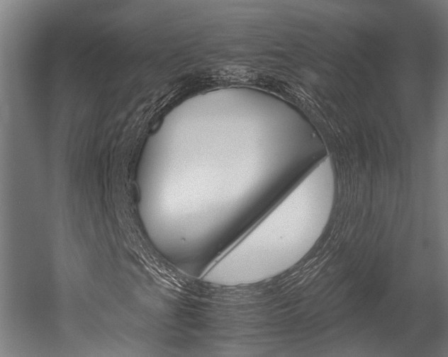 X0000052551201200507010836