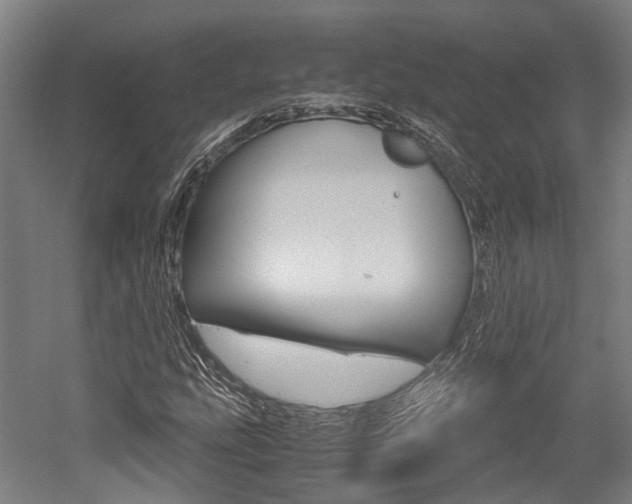 X0000052551207200507010836