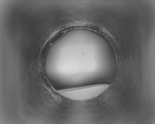 X0000052551208200507010836