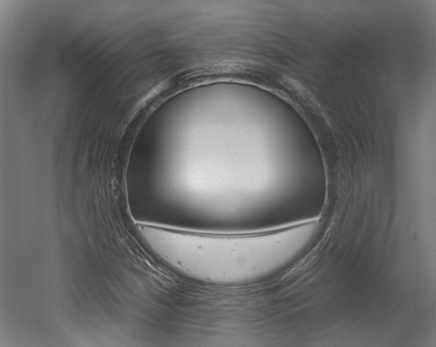 X0000052551210200507010836