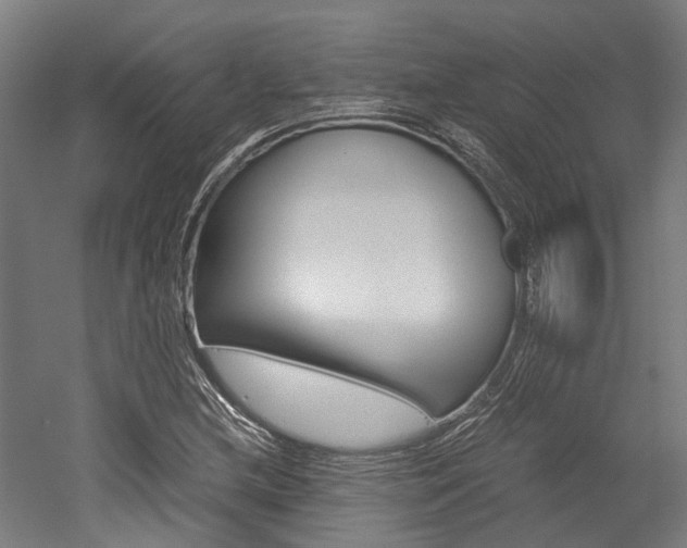 X0000052551212200507010836