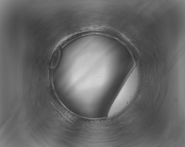 X0000052551214200507010836