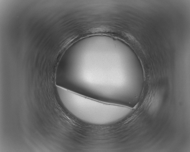 X0000052551217200507010836
