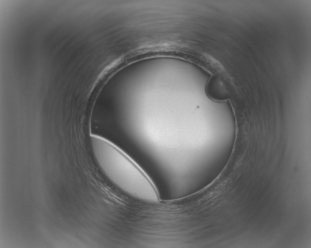 X0000052551218200507010836